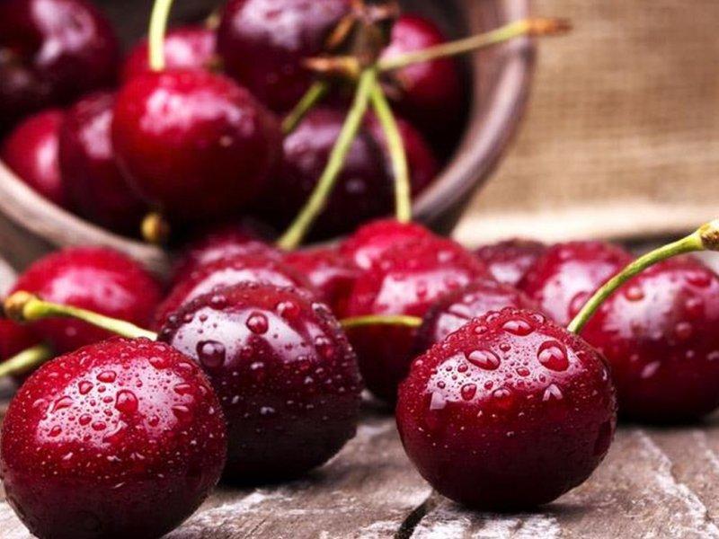 Вишня купить саженцы из питомника в Вышнем-Волочке